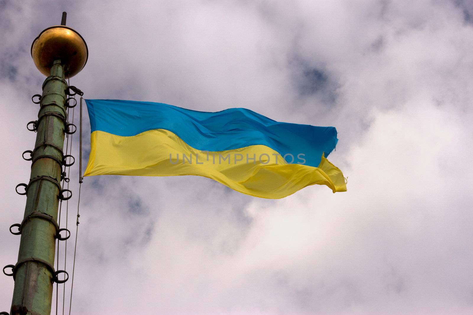 Flag of Ukraine is developing by victosha