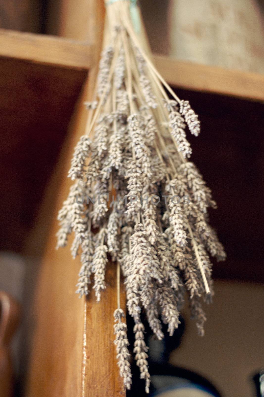 Fresh dried herb bundles of different herbs hanging on the wall