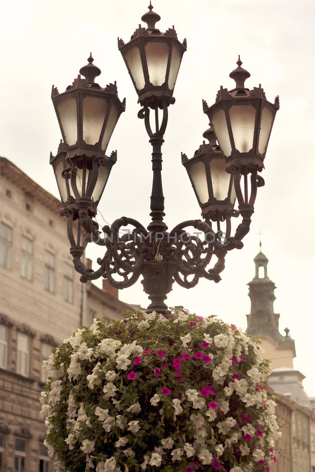 Flower arrangement on street lamp in Lvov by victosha