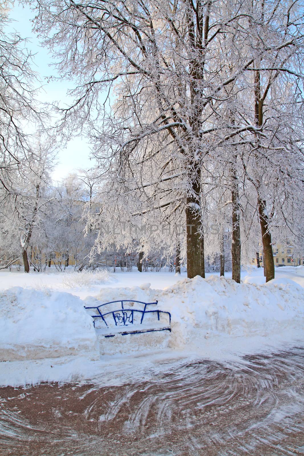 wooden bench in town park