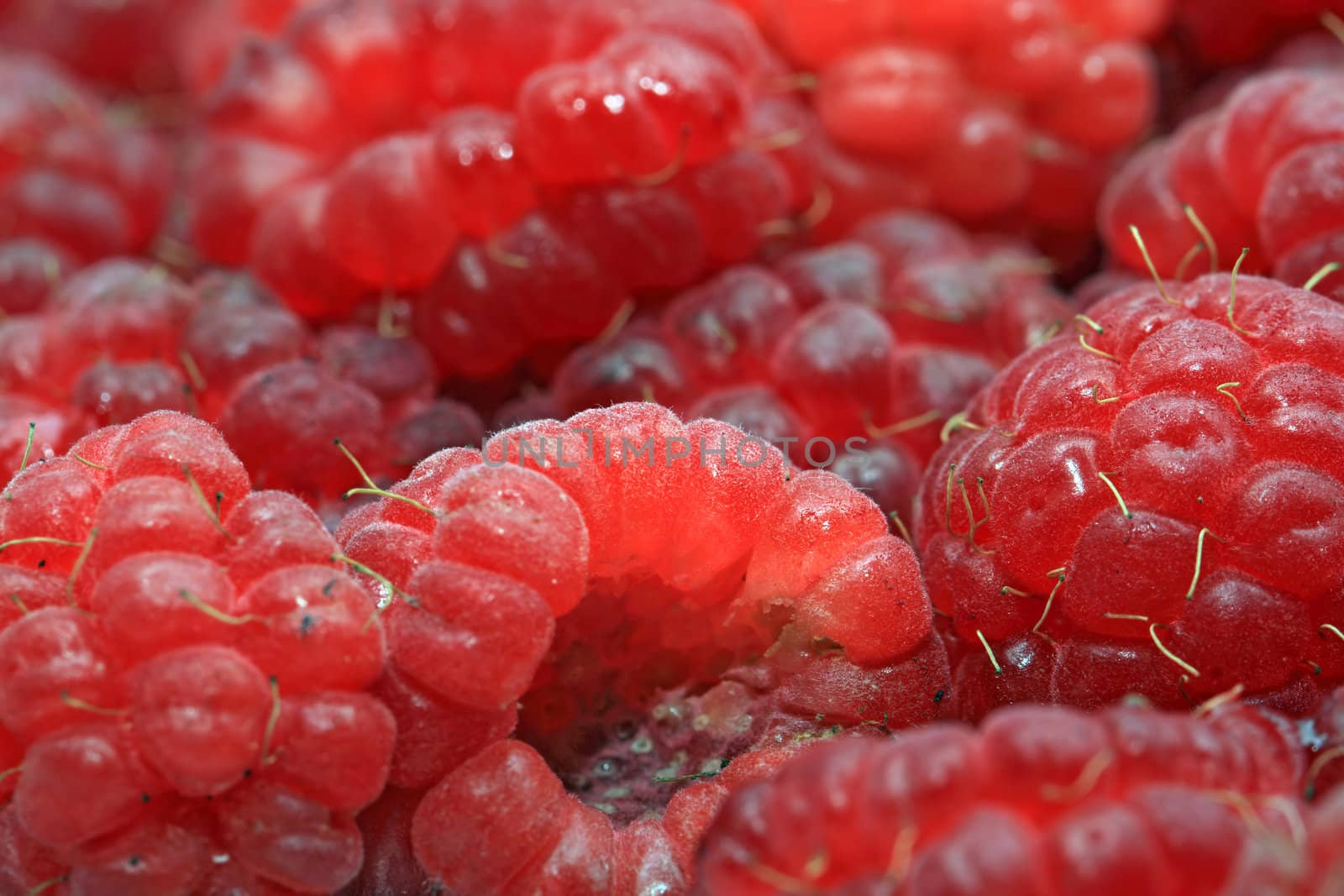 red ripe raspberry