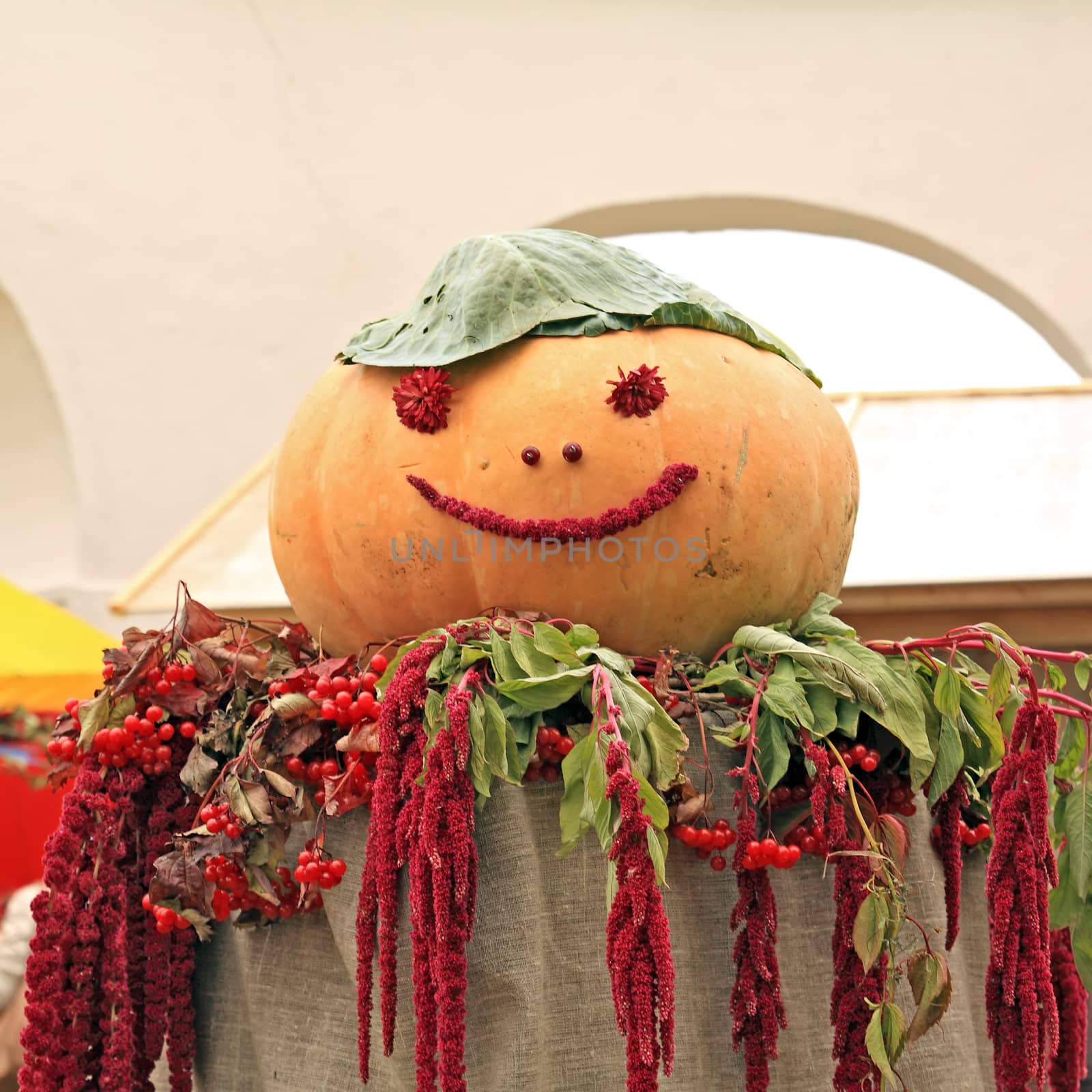 big pumpkin on rural market