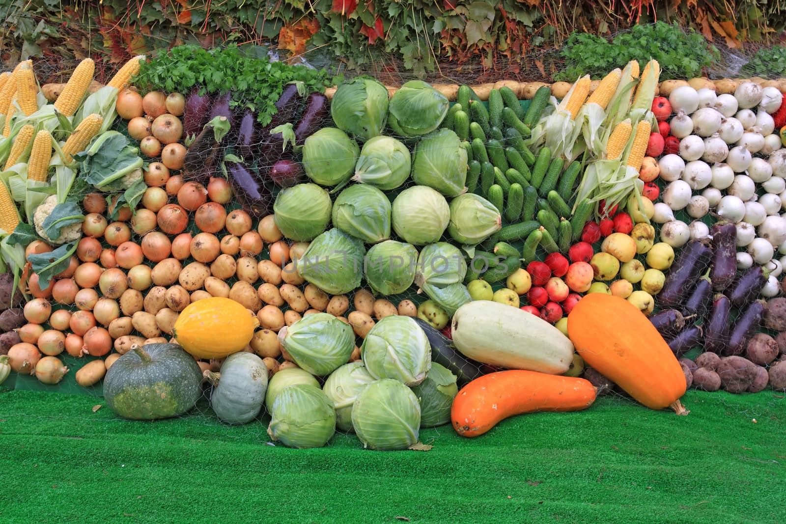 set fruit on rural market