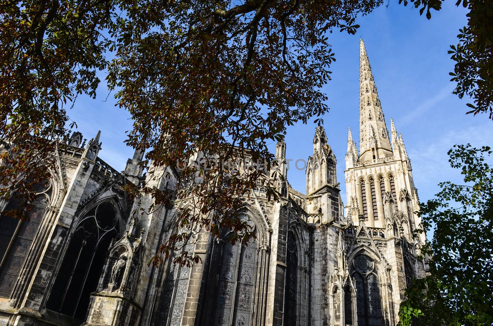 St Andre cathedral day view, Bordeaux, France