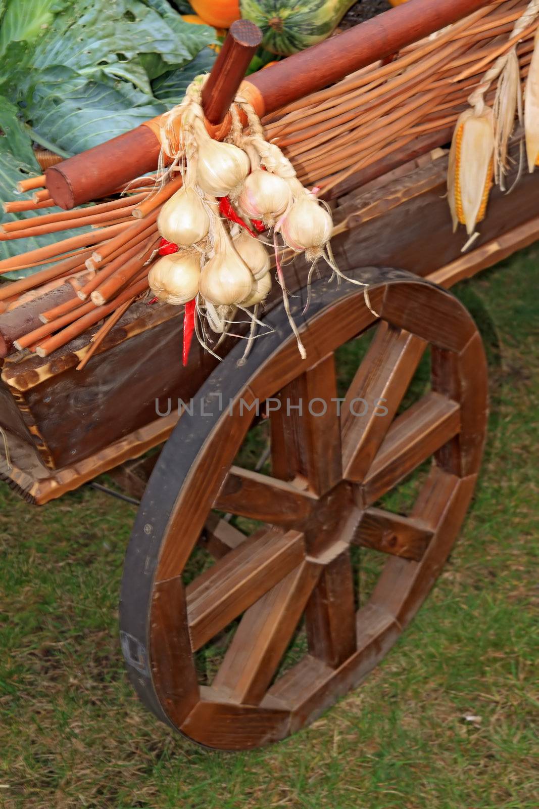 cart with vegetable on rural market