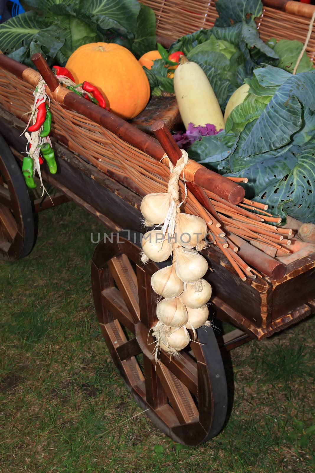 vegetables in cart on rural market by basel101658