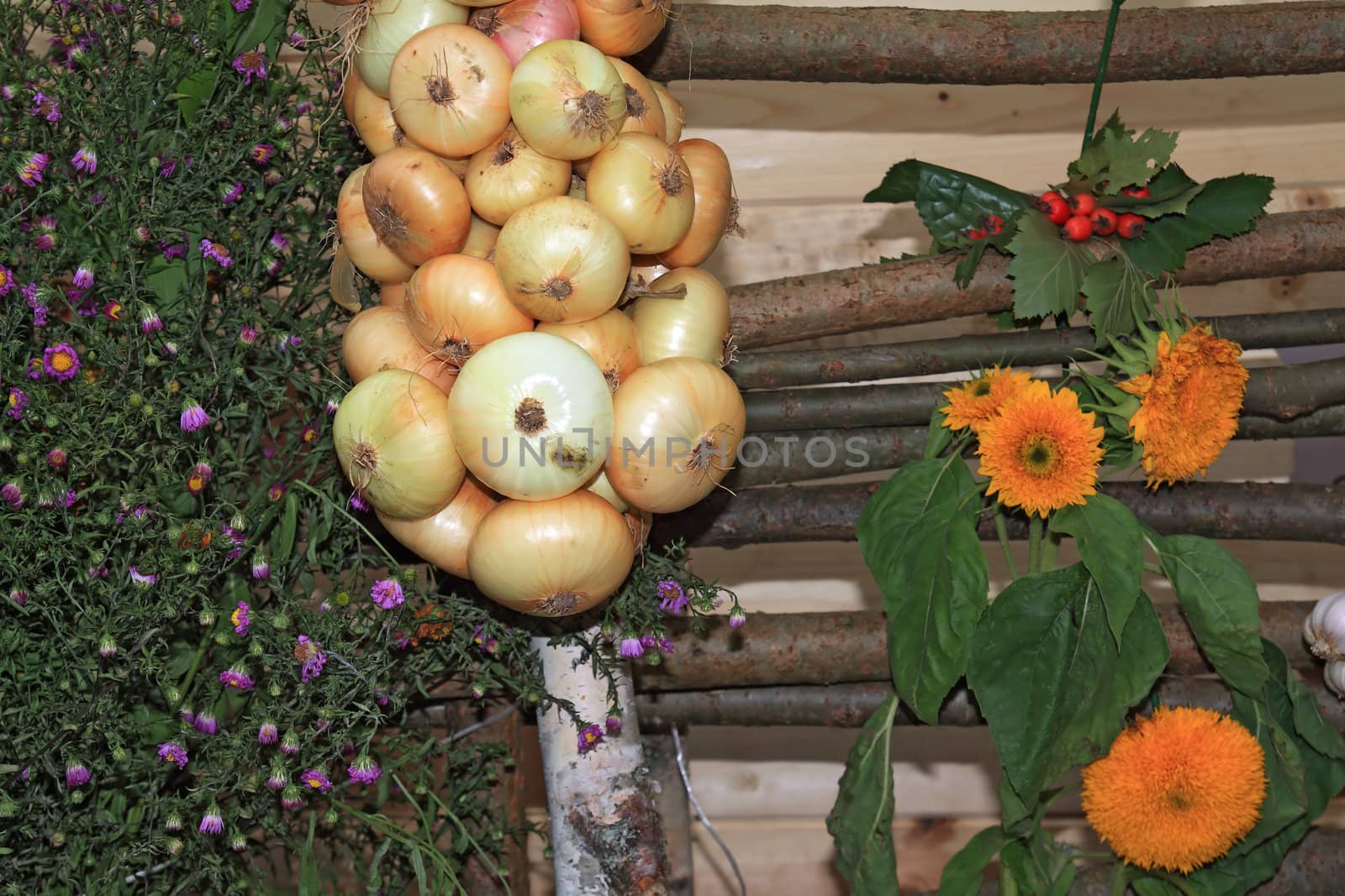 onion on rural market amongst flowerses