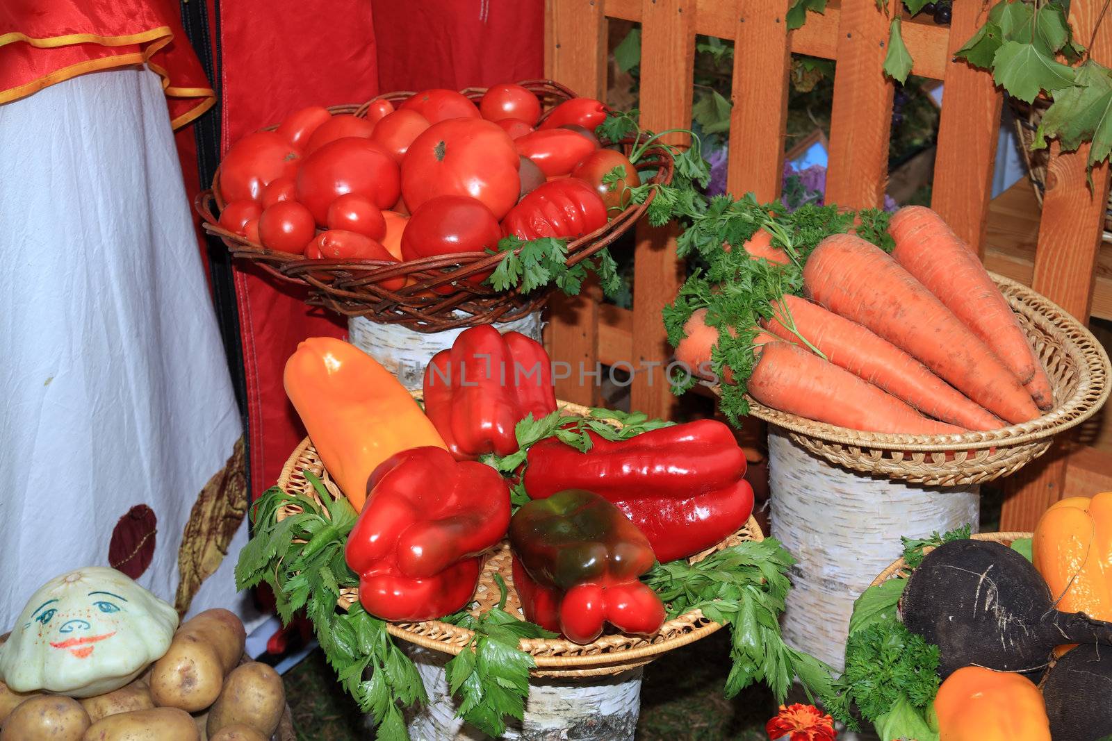 vegetable set on rural market by basel101658