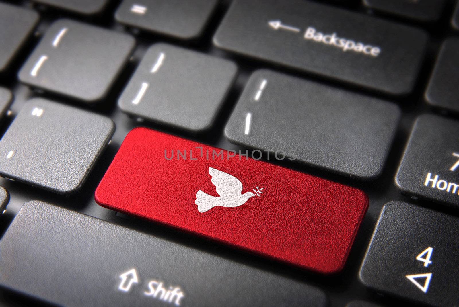 Re Christmas key with peace dove icon on laptop keyboard. Included clipping path, so you can easily edit it.