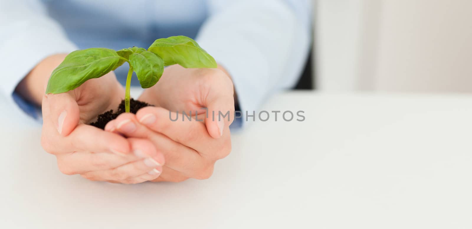 Woman holding a little plant in her hands