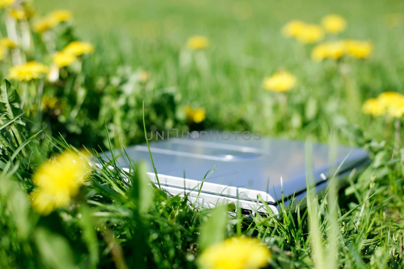 field work laptop outside in the meadow