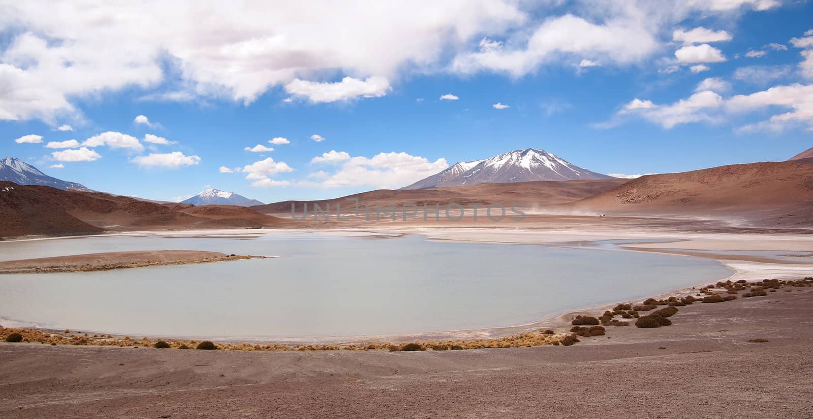 A laguna in Bolivia at the altiplano near Uyuni with a snowcapped volcano in the background.