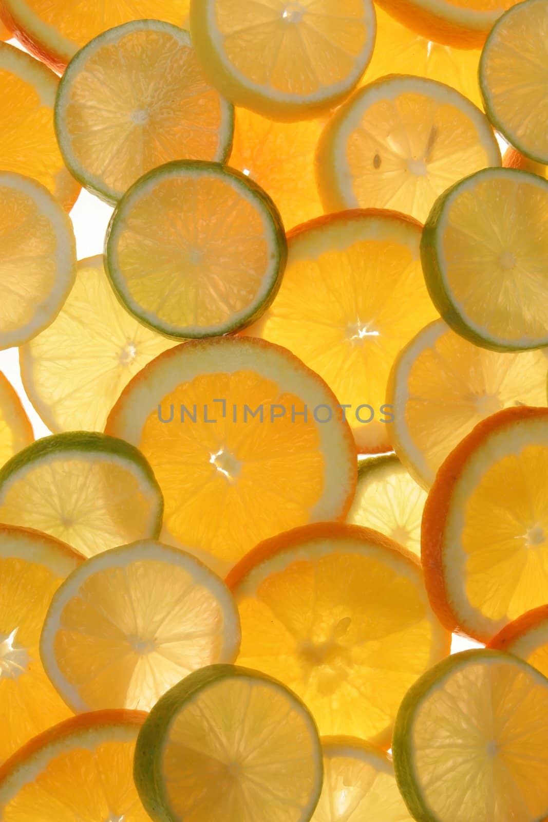 citrus fruits in slices...........