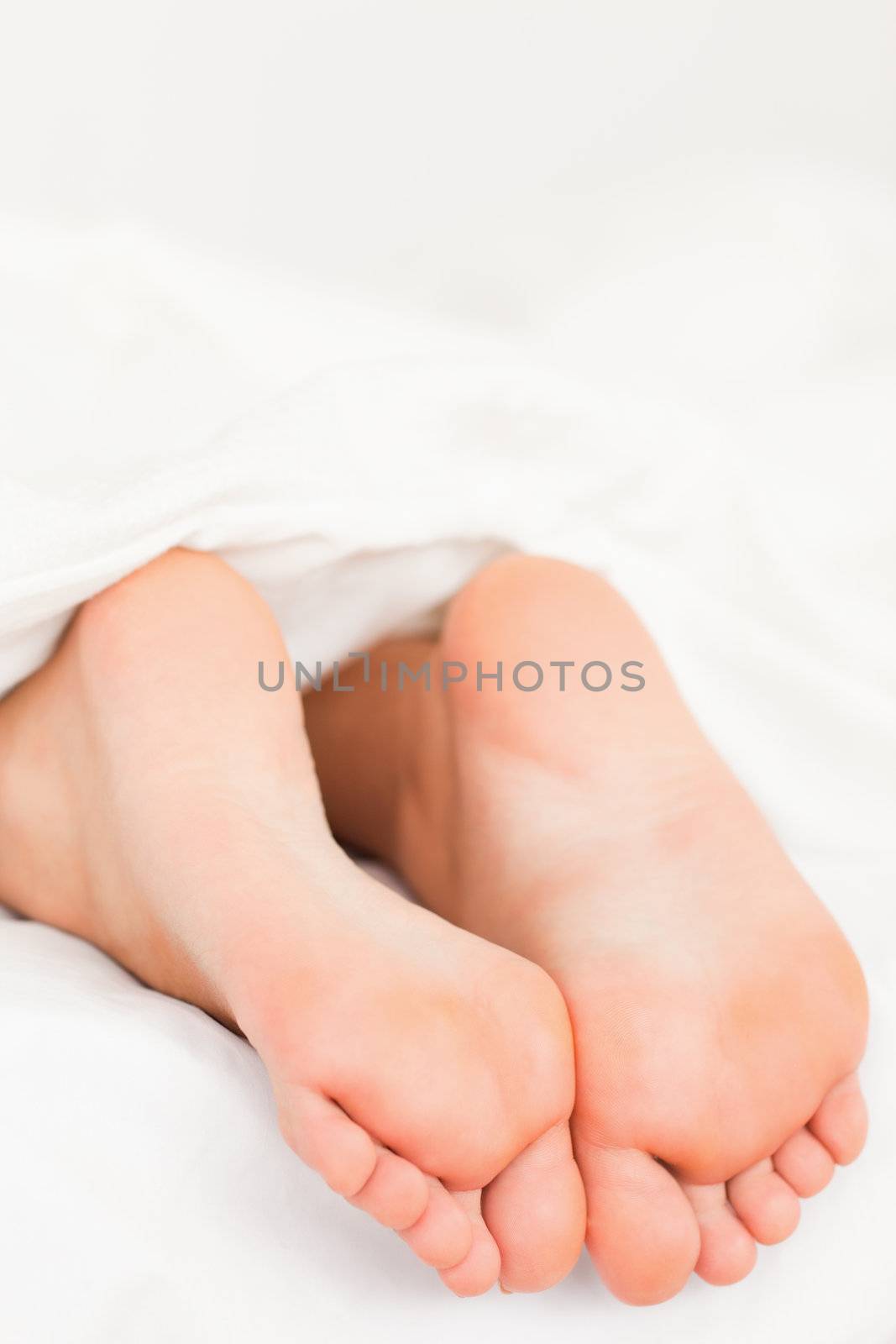 Portrait of feet in a bed