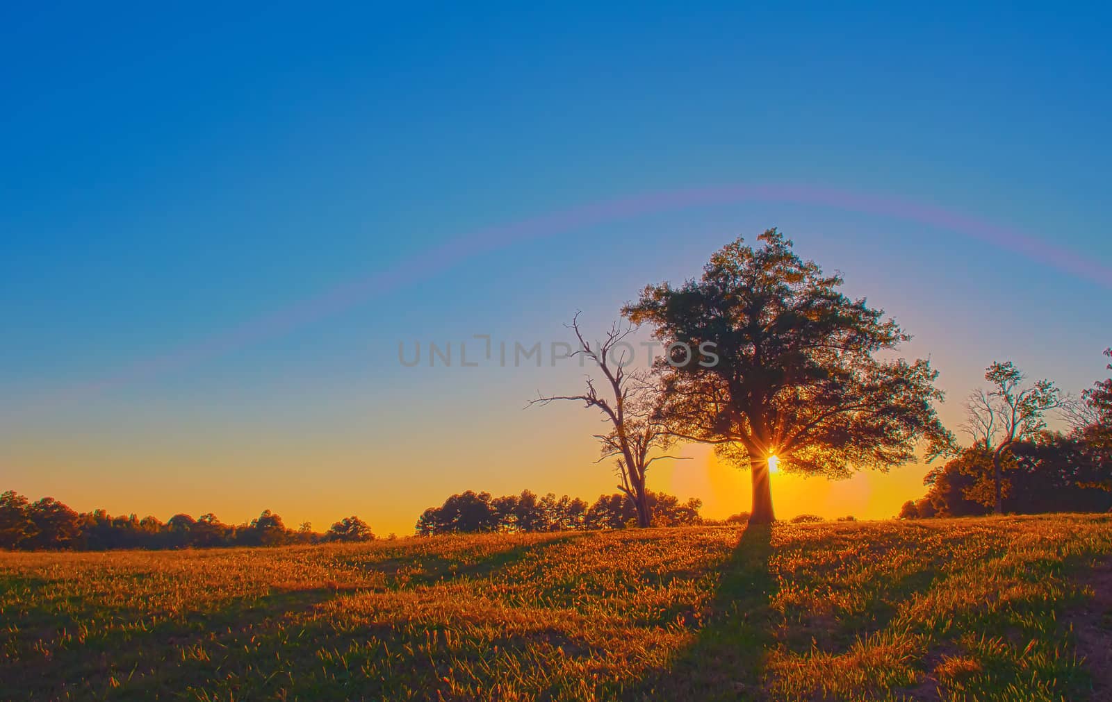 nset over agricultural farm field