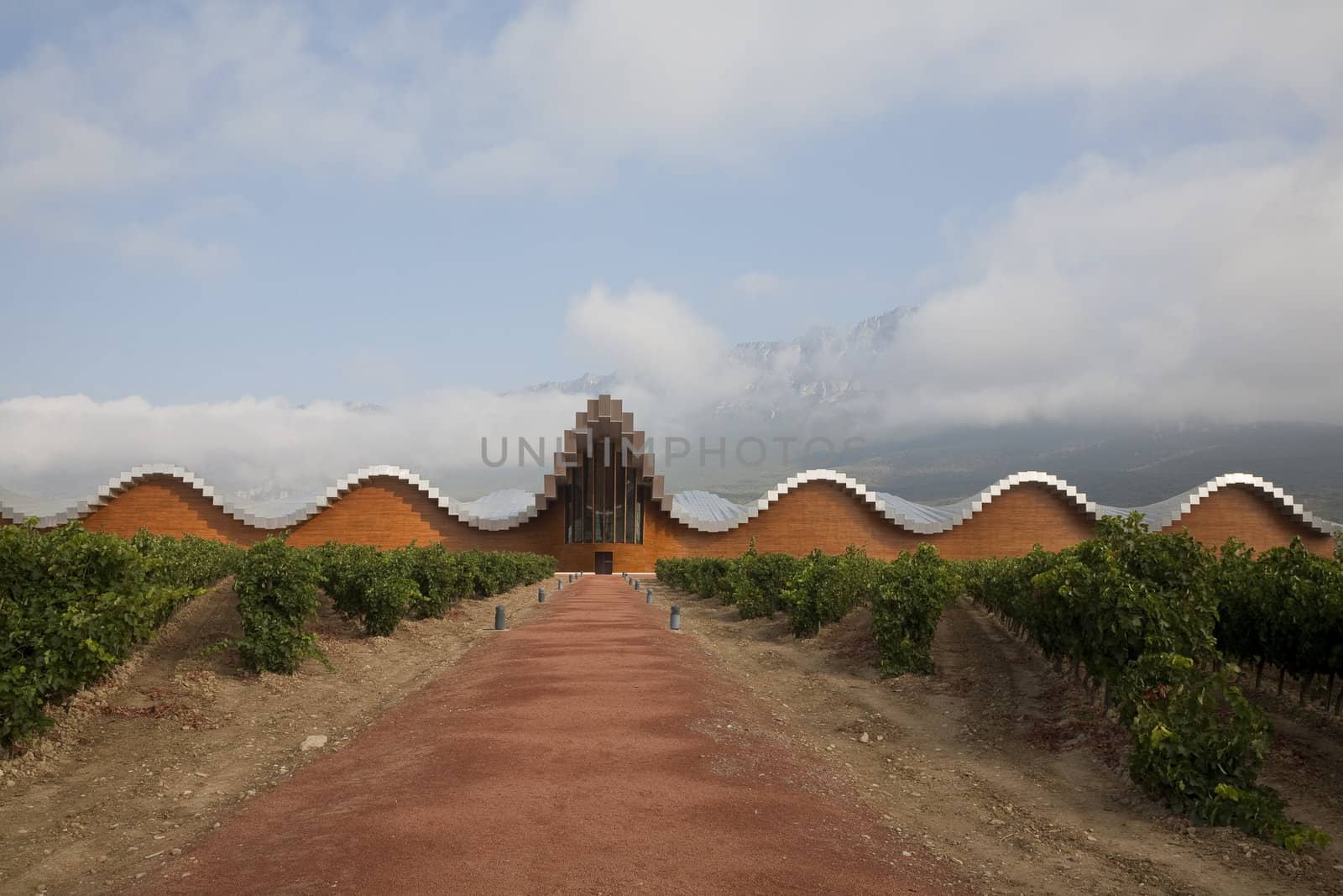 WINERY BEHIND VINEYARD, LA RIOJA, SPAIN � SEPTEMBER 22: Bodegas Ysios, Laguardia, La Rioja, Spain view on September 22, 2012. Santiago Calatrava designed the modern winery in the hills of Sierra de Cantabria for Ysios.