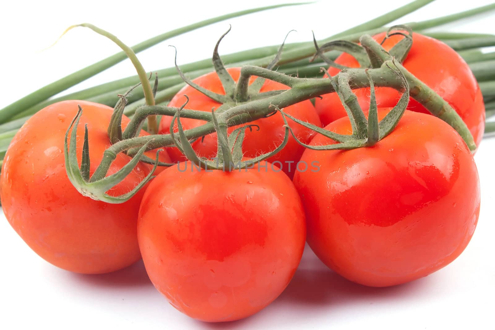 Red tomatoes on a branch on a white background