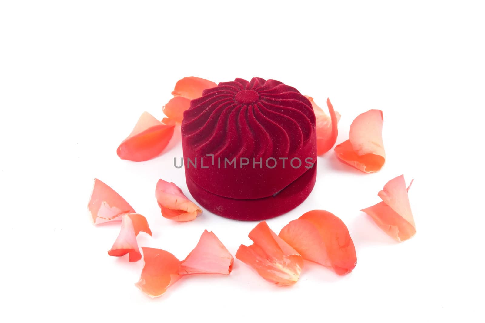 Closed box and lying next to rose petals on white background