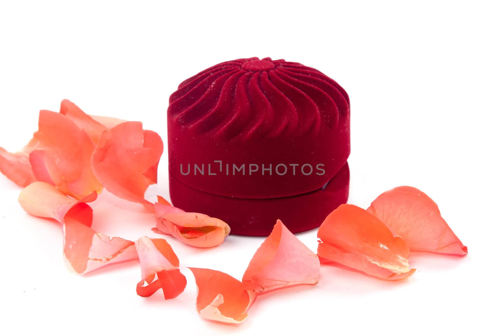 Closed box and lying next to rose petals on white background