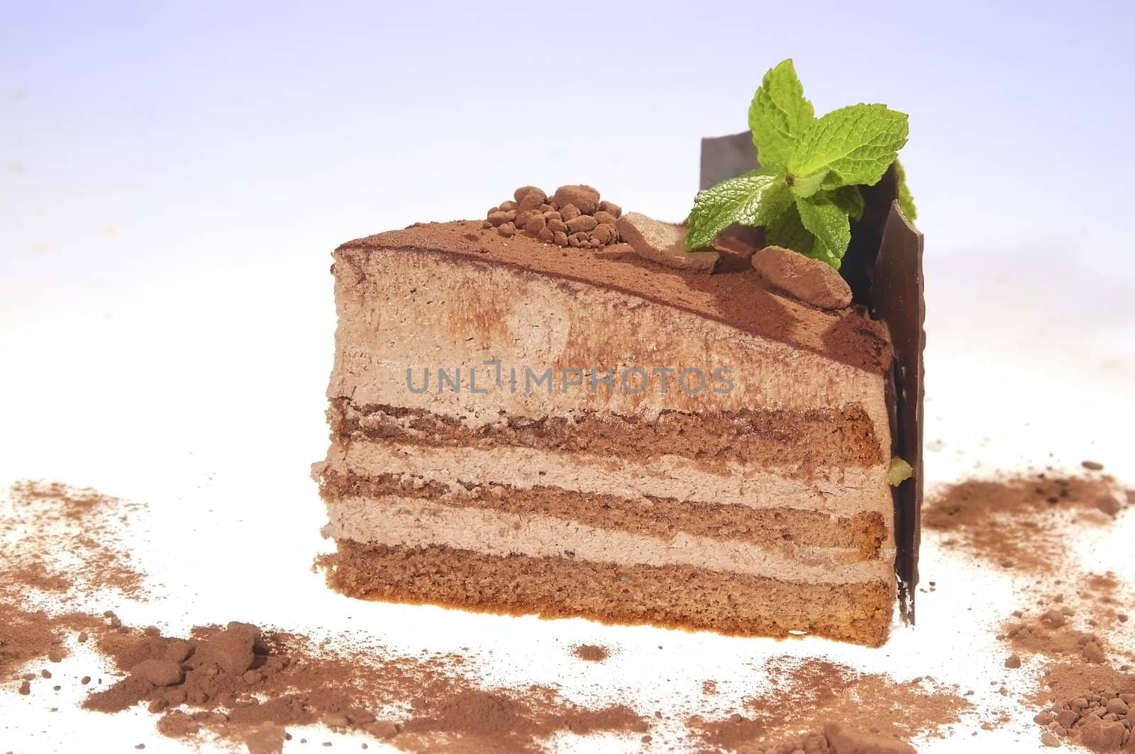 Chocolate cake by hanusst