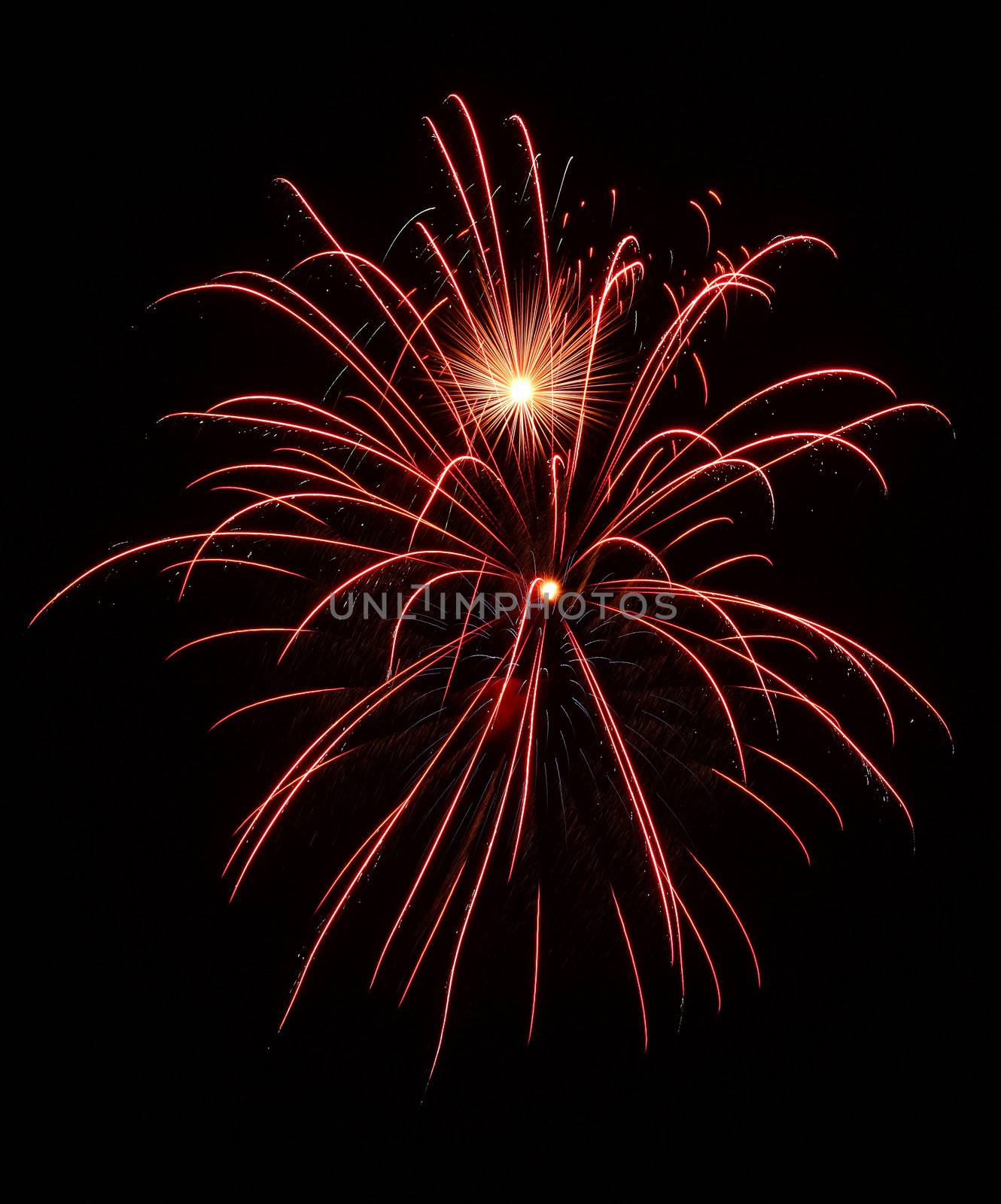 Colorful fireworks on the black sky background