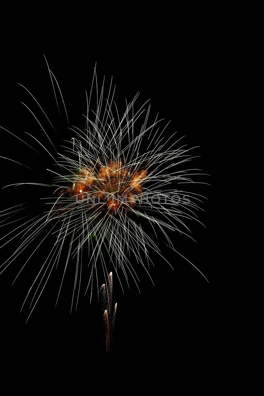 brightly colorful fireworks by sergey_nivens
