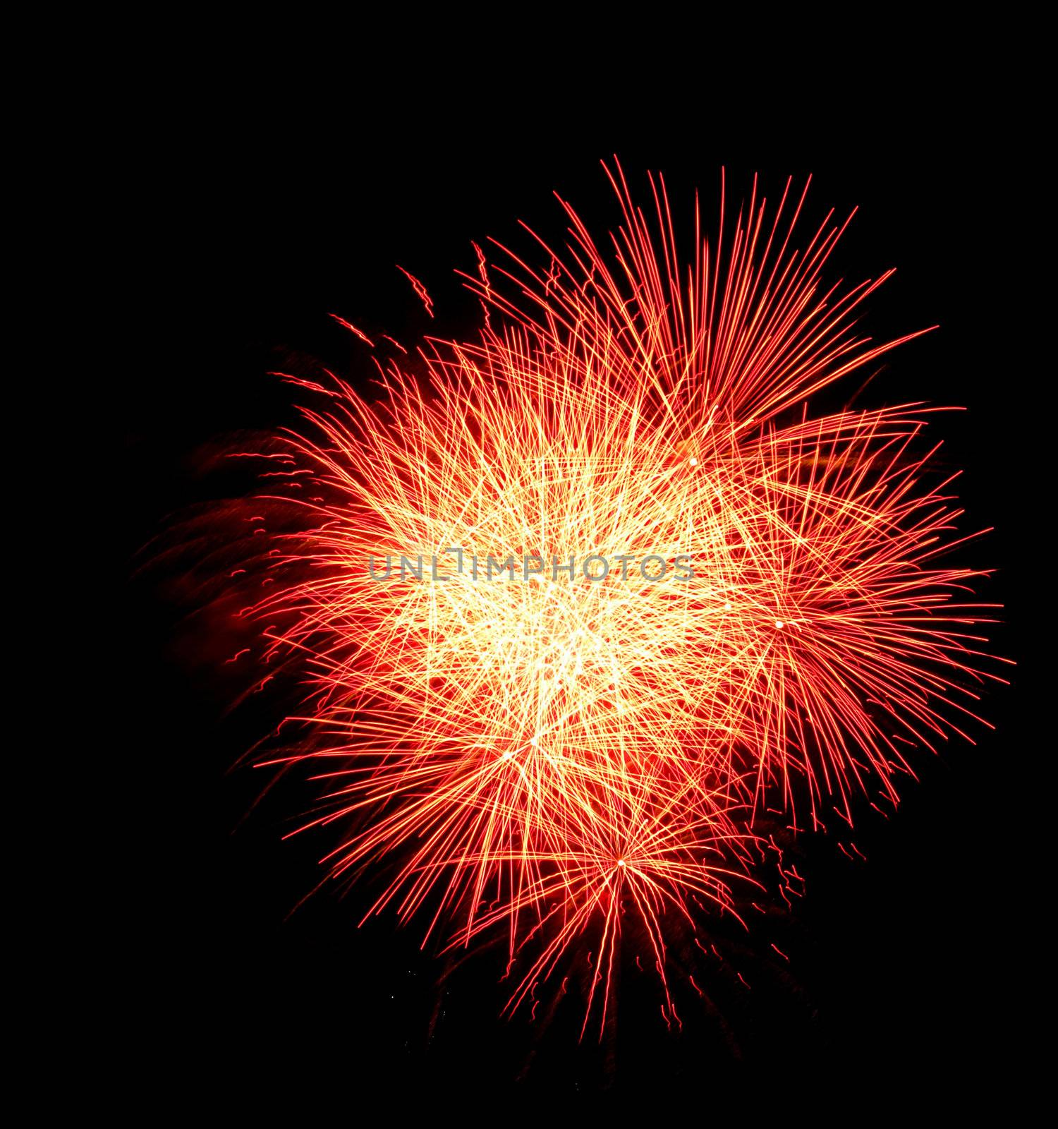 Colorful fireworks on the black sky background