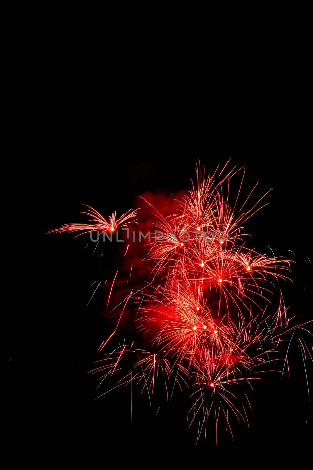 Colorful fireworks on the black sky background