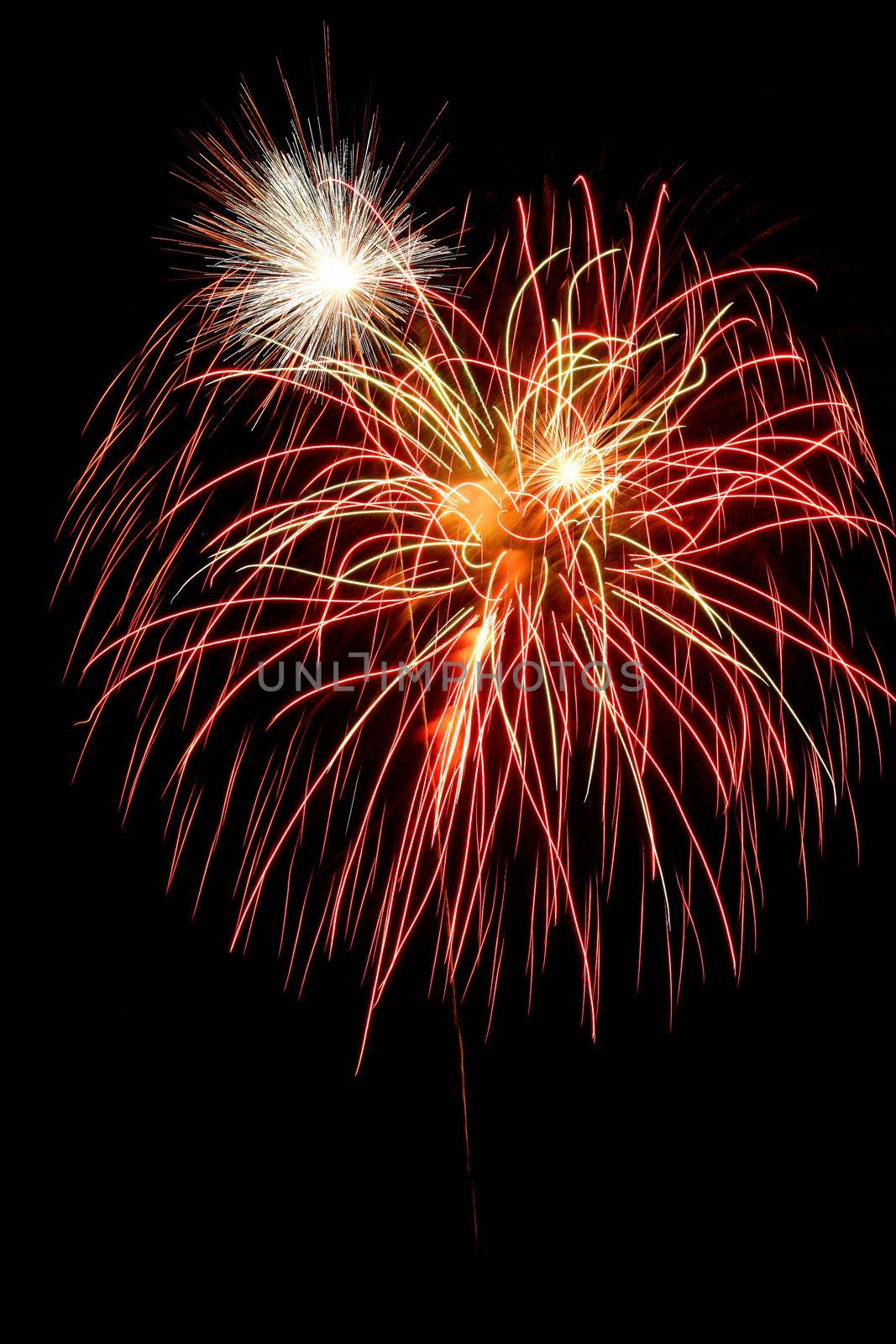 Colorful fireworks on the black sky background