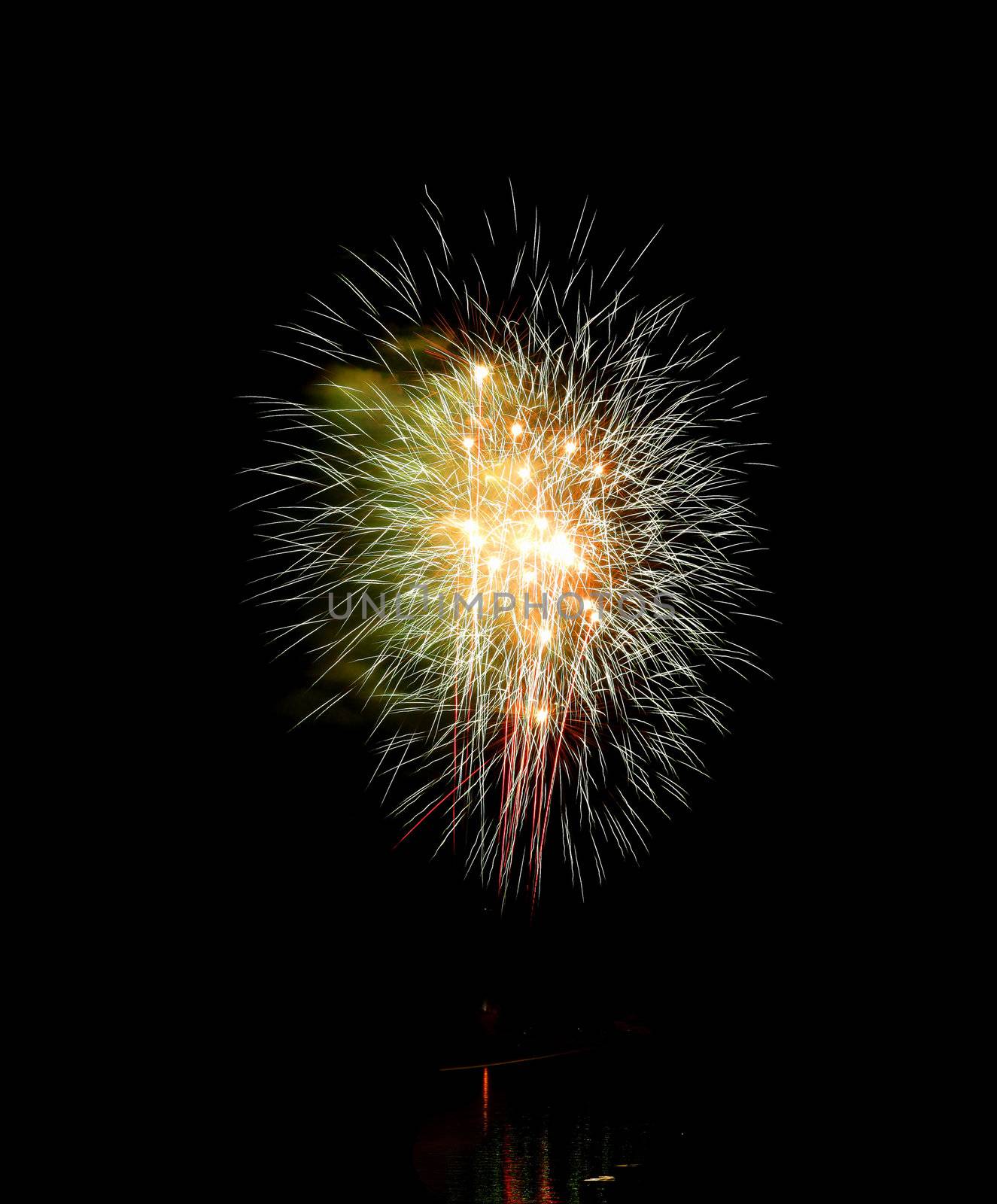 Colorful fireworks on the black sky background