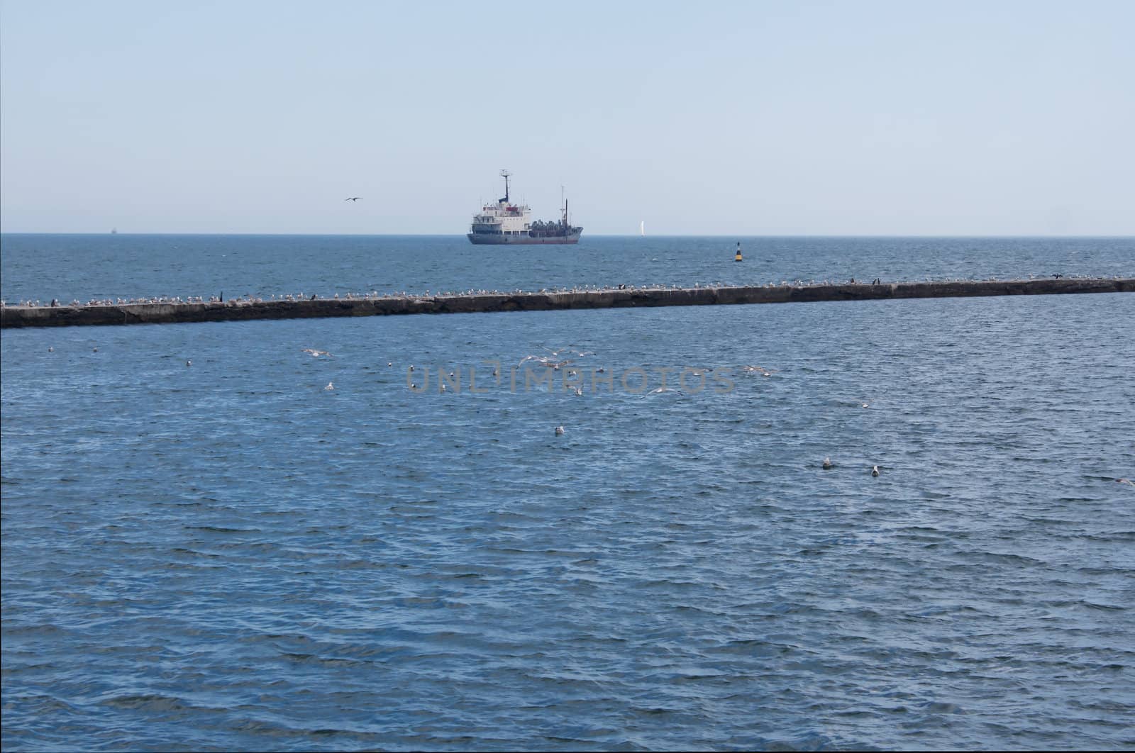 Sea view from the pier, seagulls and ship photography