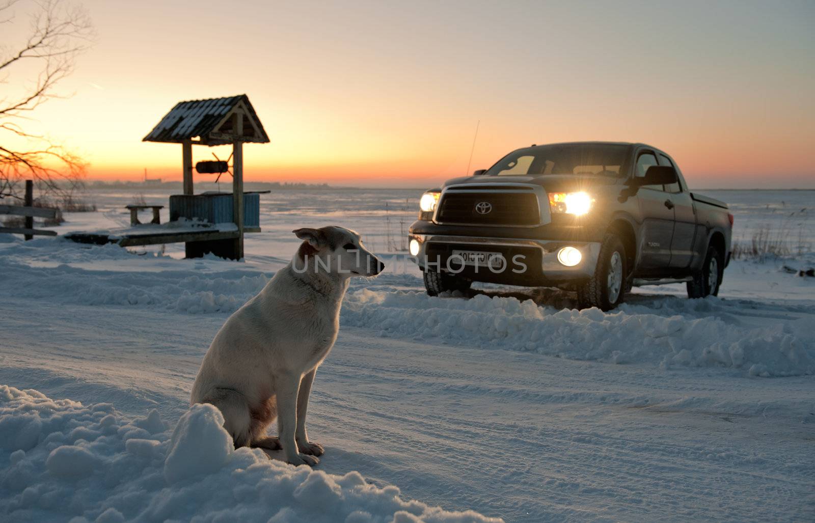 The dog waits at road. The dog waits at snow-covered road near to a well and truck.