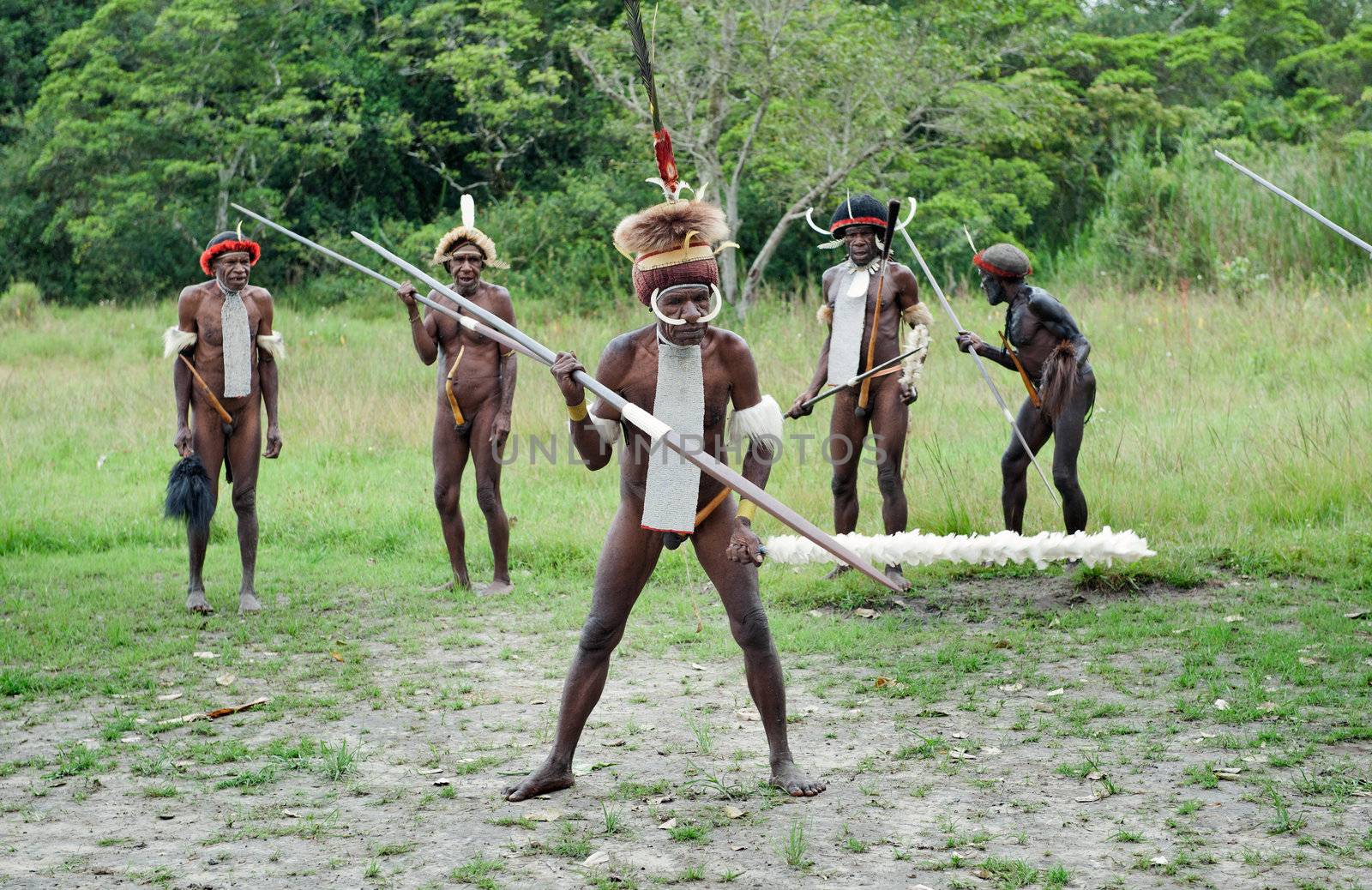 DUGUM DANI VILLAGE,  IRIAN JAYA PROVINCE, NEW GUINEA, INDONESIA - JUNE 20: Dugum Dani Warriors  with a spears and traditional clothing. June 20, 2012 in Dugum Dani The Baliem Valley Papua or Irian Jaya Indonesian New Guinea