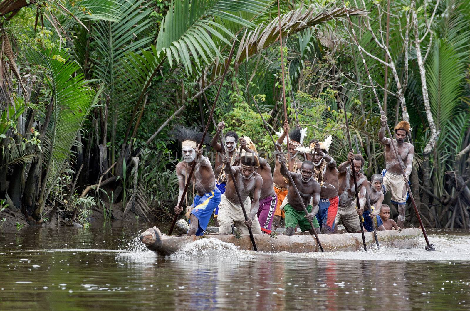 INDONESIA, IRIAN JAYA, ASMAT PROVINCE, JOW VILLAGE - JUNY 28:  Asmat men paddling in their dugout canoe. Canoe war ceremony of Asmat people. Headhunters of a tribe of Asmat show traditional and national customs, dresses, the weapon and boats. New Guinea Island, Indonesia. June 28 2009