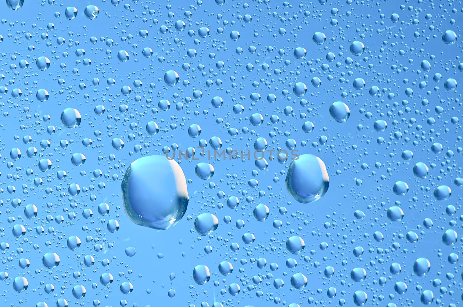 blue water bubbles on the window for background