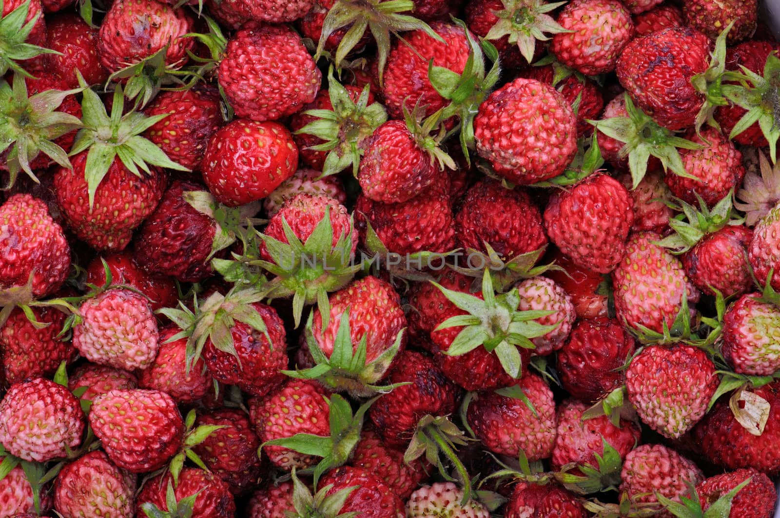 Ripe red strawberry for freshening juice with vitamines