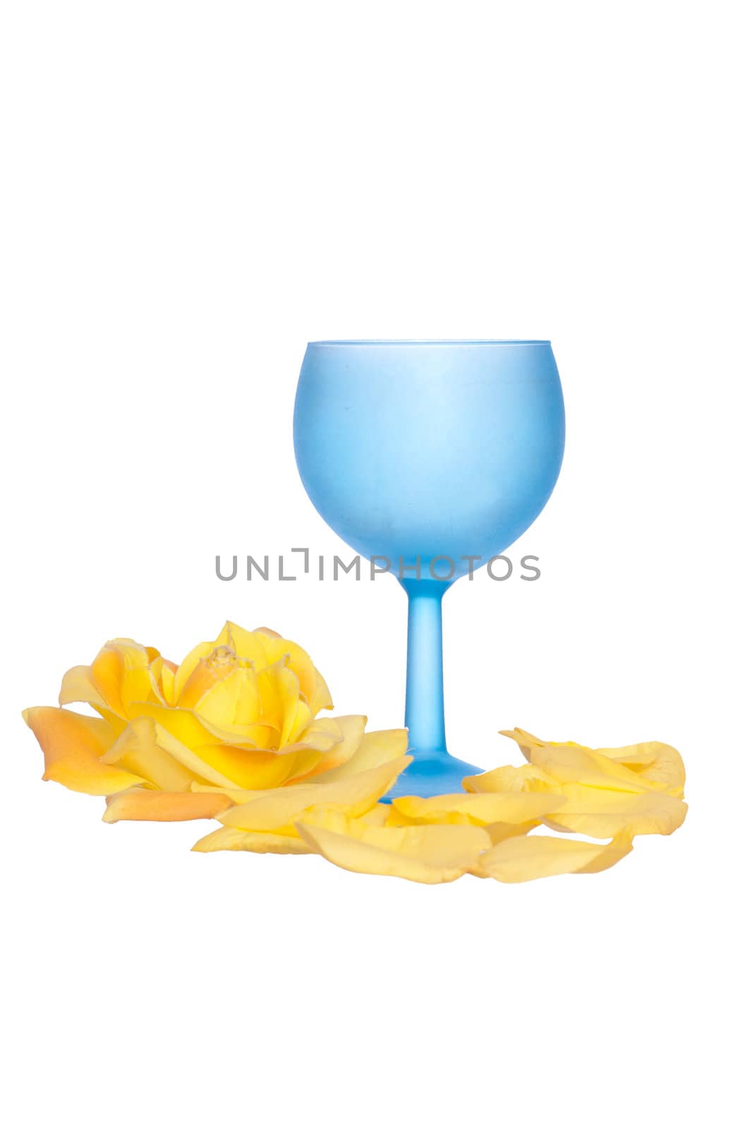 tumbler with yellow rose on the party