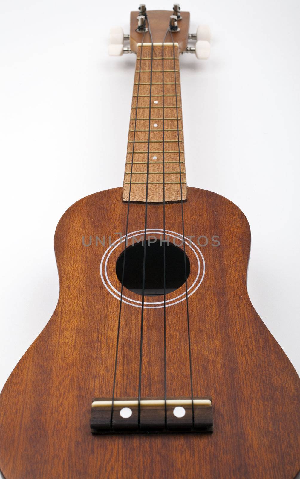 Ukulele on a white background.