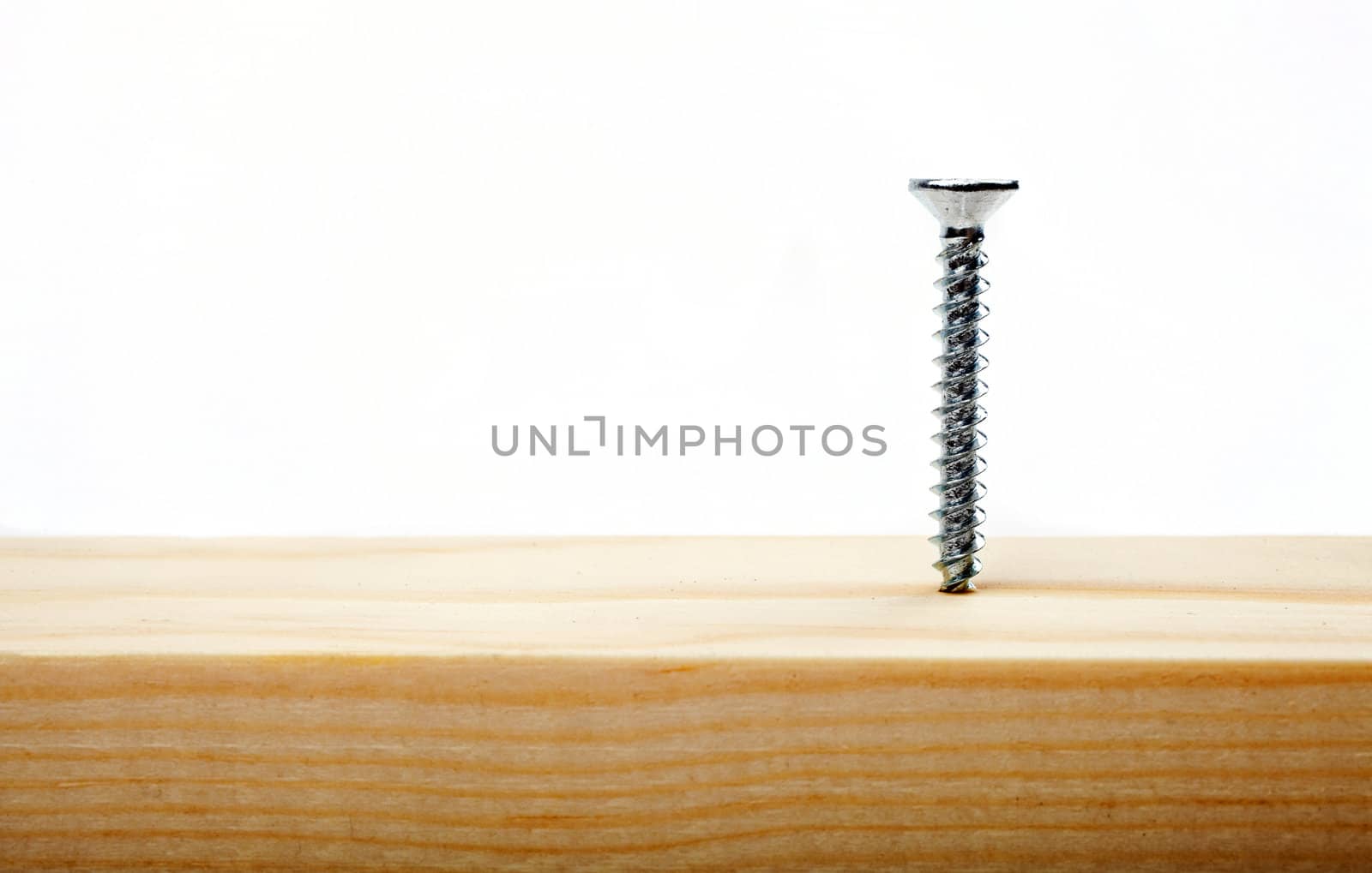 Screw in Wood by chrisdorney