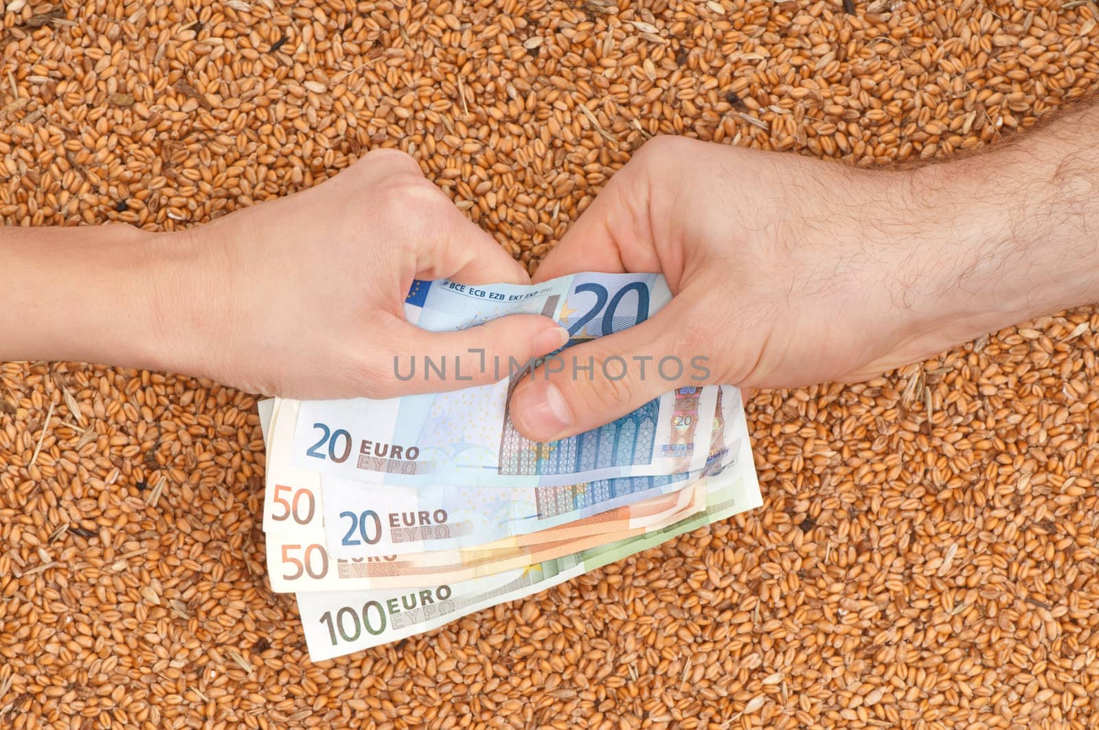 The businessman pays delivery of wheat by euro