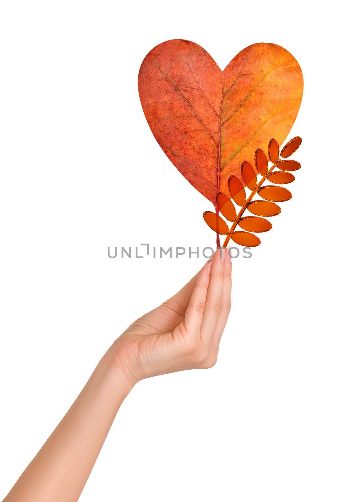 Woman holding autumn leaf as a  heart and glass rowan leaf
