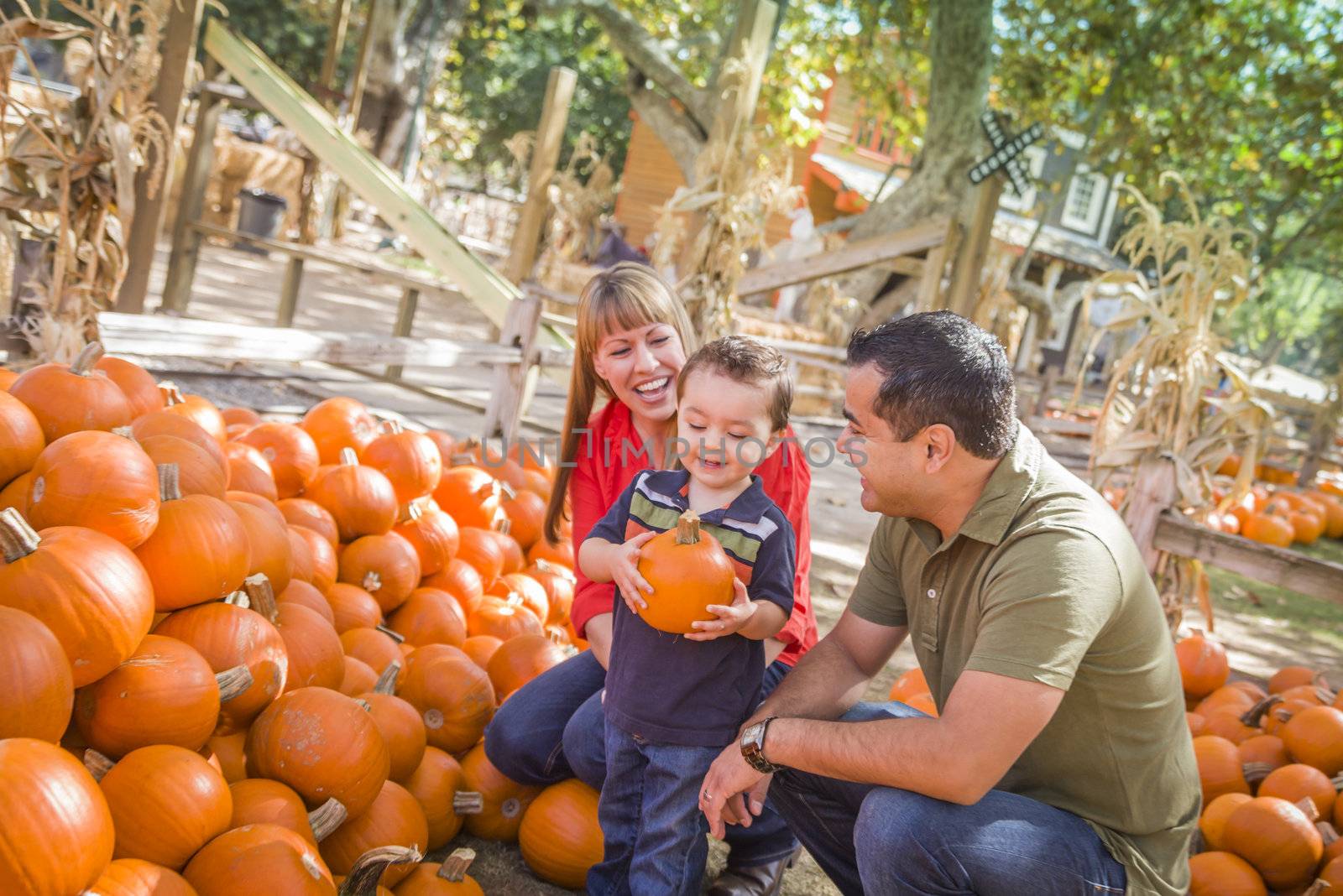 Happy Mixed Race Family at the Pumpkin Patch by Feverpitched