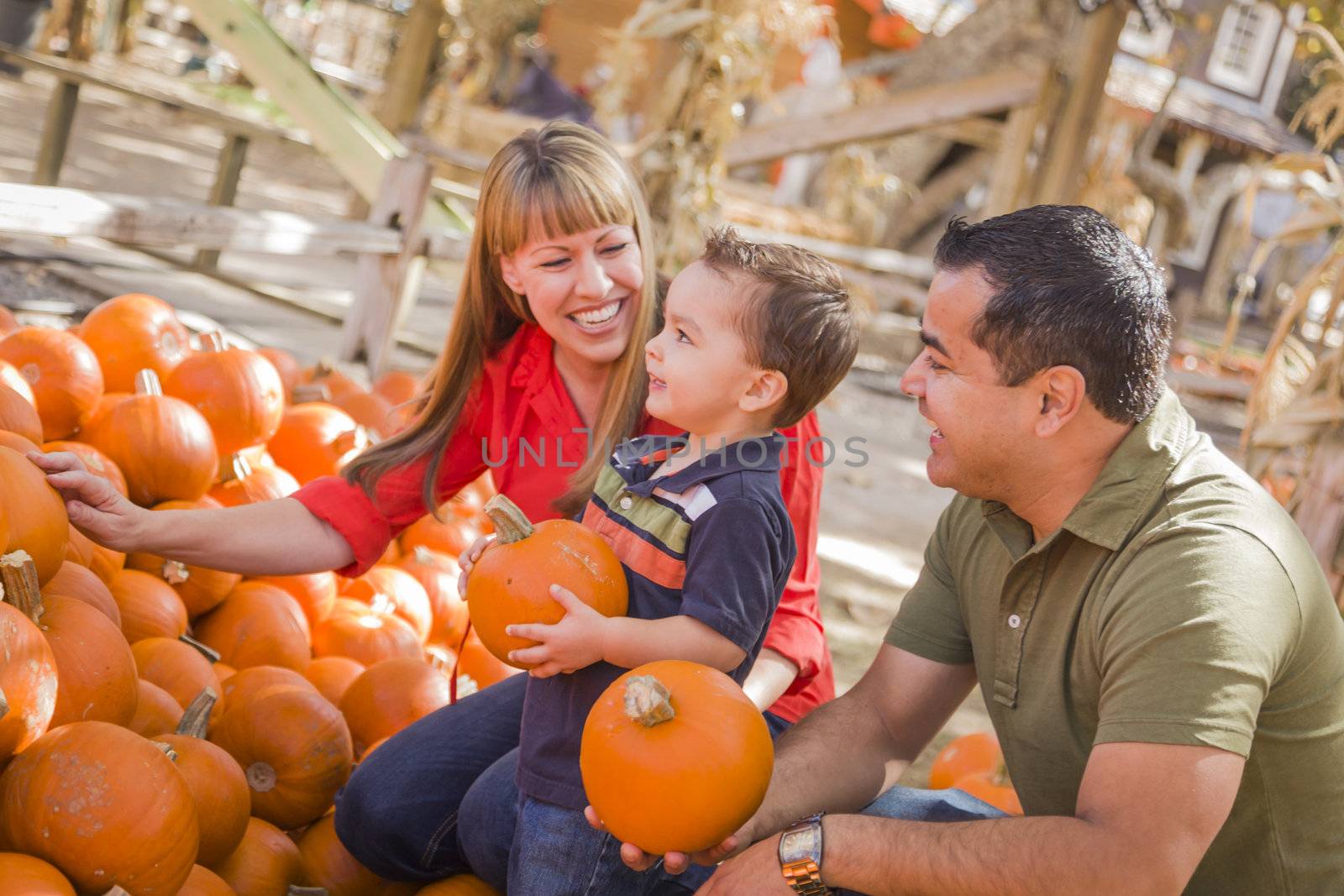 Happy Mixed Race Family at the Pumpkin Patch by Feverpitched