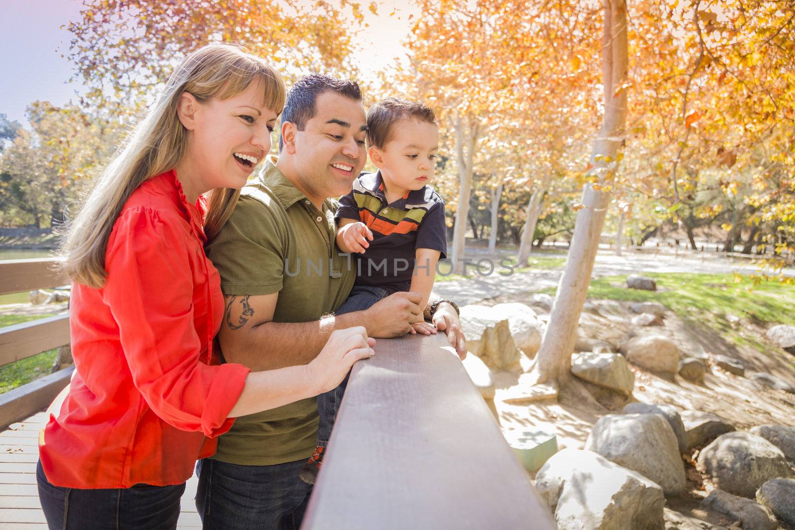 Happy Mixed Race Family Enjoy a Day at The Park Together.