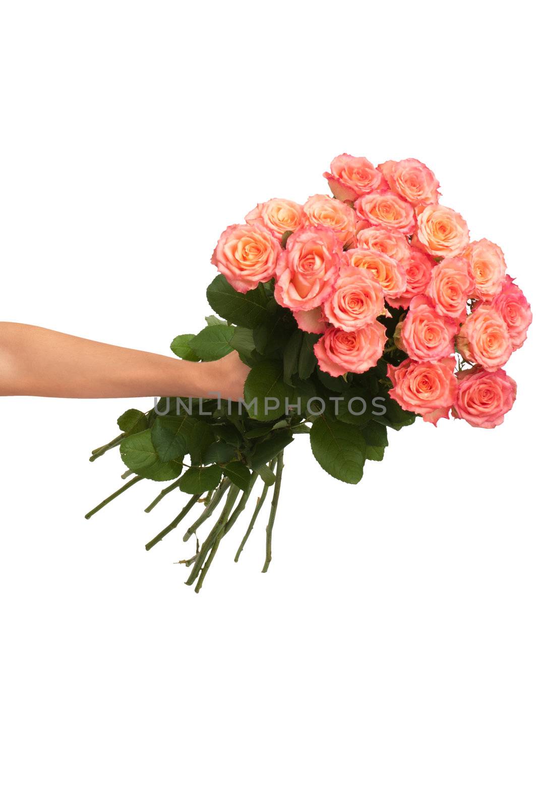 woman holding big fragrant bouquet of pink roses in the hands as a gift