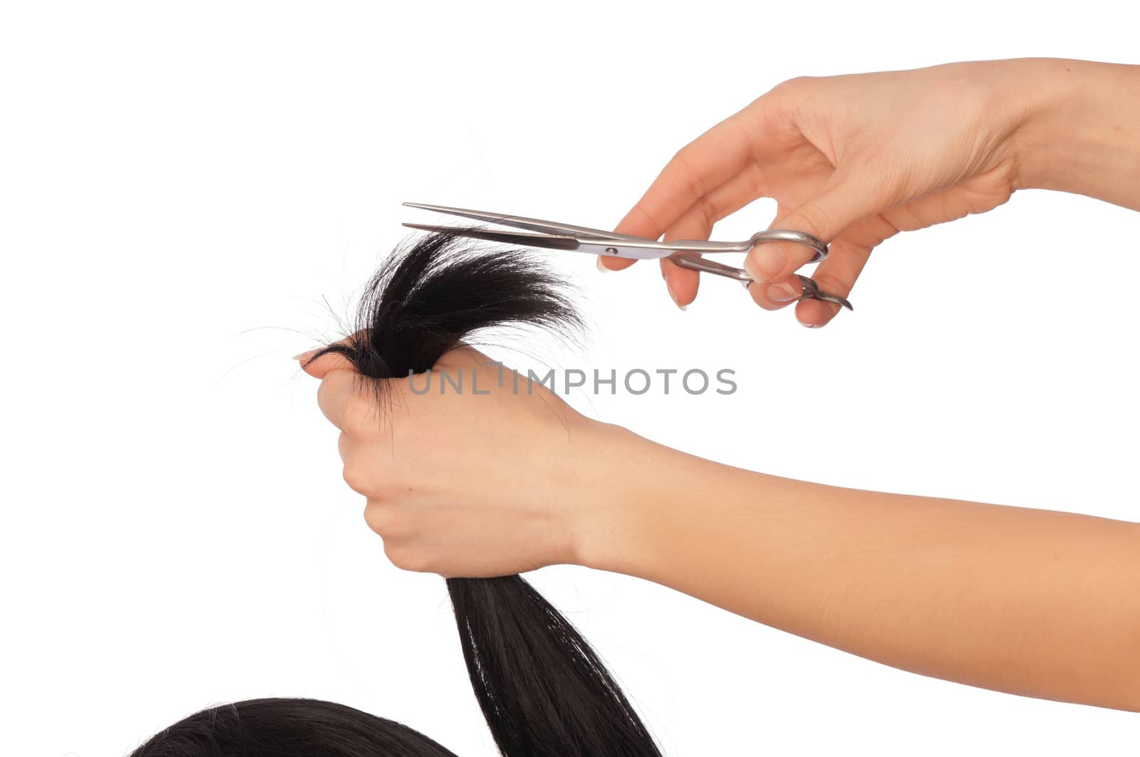 hairdresser cutting young woman with long black hair