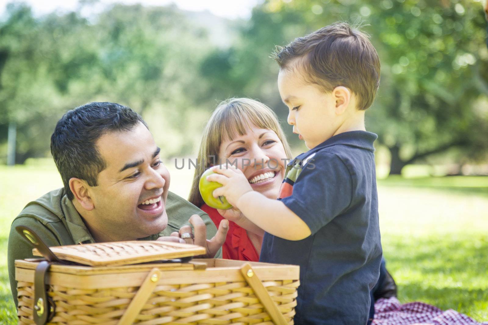 Happy Mixed Race Family Enjoy a Picnic At The Park.