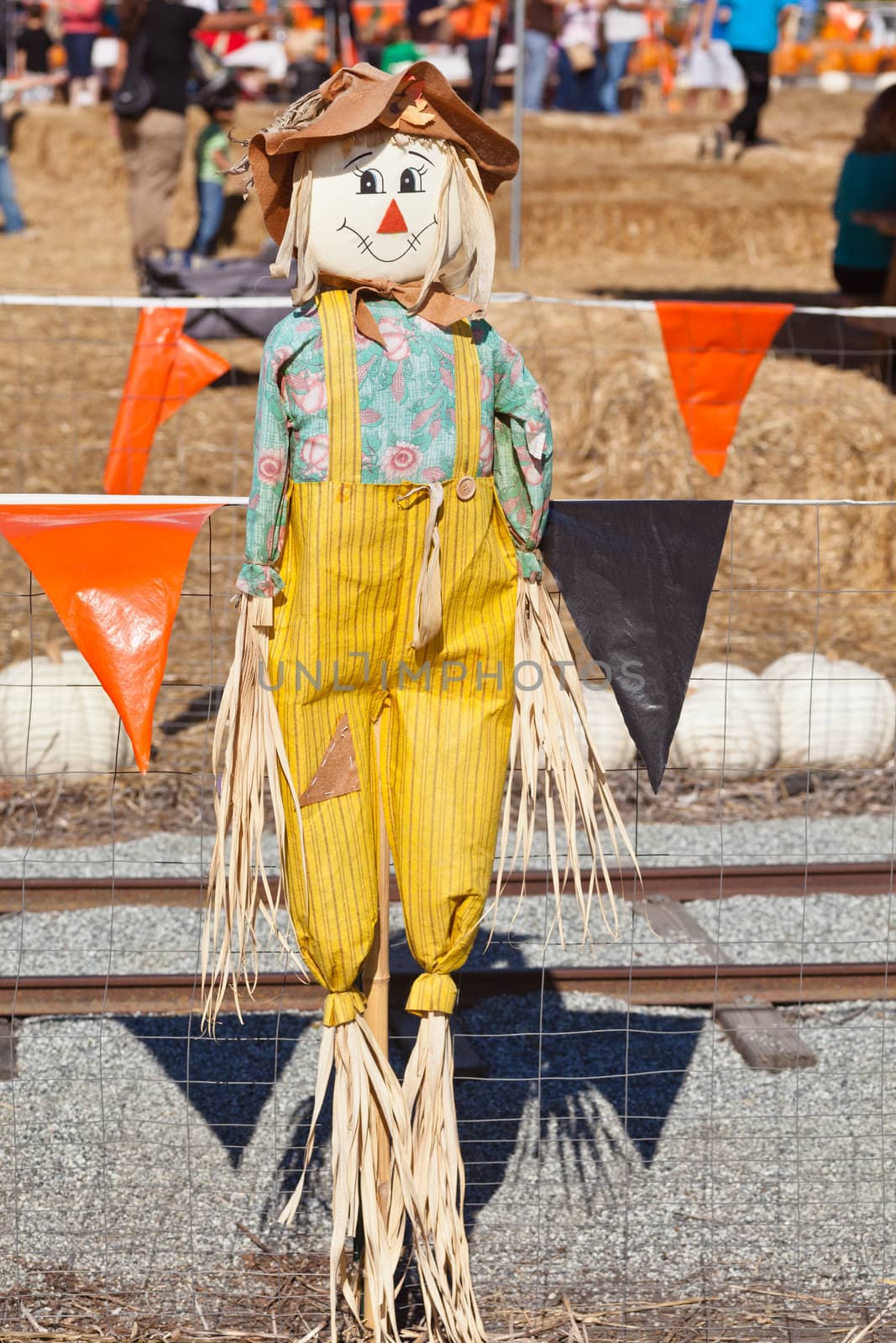 Scarecrow is a human figure dressed in old clothes and placed in fields by farmers to discourage birds disturbing and feeding on recently cast seed and growing crops.