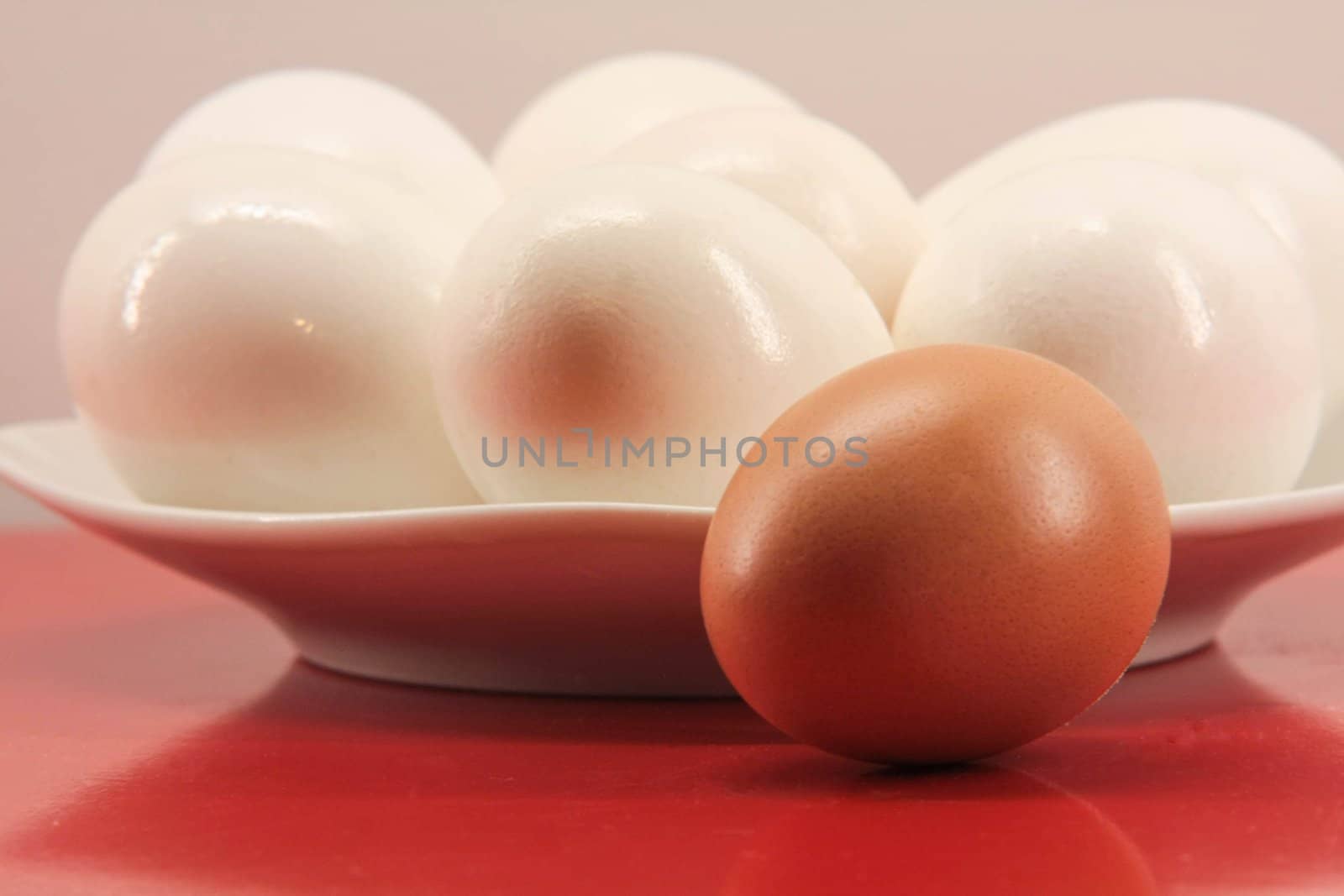 Eggs by photografmts
