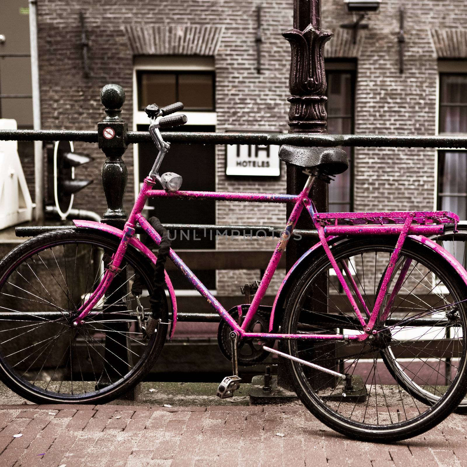 Holland Bicycles by Iko
